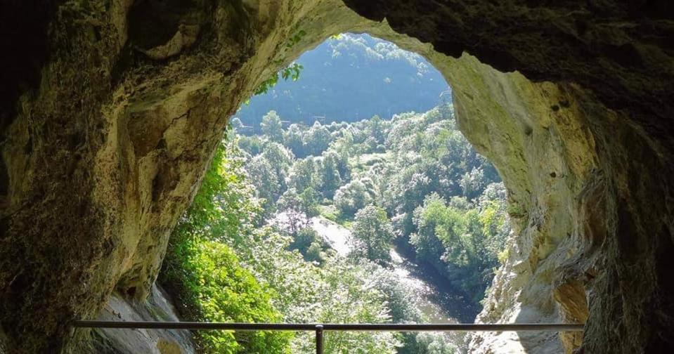 L'Echappee Au Jardin, Yourte Bucolique Godinne Bagian luar foto
